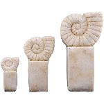 Ammonit Valo, creme, Concrete, 7x6,5x16,5 cm