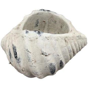 Muschel Valo, creme/weiß, 15x12x8 cm