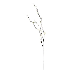 Prunus Persica ArtificialNature, cream, 103x35x2 cm