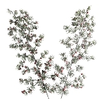Snowy Japanese pine w/red berry, ArtificialNature, 48 cm