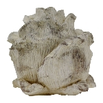 Blüte Valo, creme/weiß, Zement, 15,5x15,5x15,5 cm