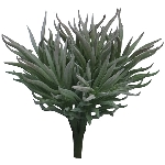 Crassula Himalaya ArtificialNature, grau, 15 cm
