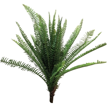 Farn ArtificialNature, 60 cm (UV-geschützt)