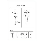 BlumenWindRad ArtFerro, Metall, 35,5x35,5x159 cm