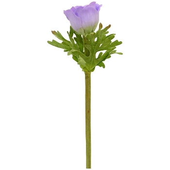 Anemone ArtificialNature, lila/grün, 36 cm