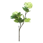 Hortensie ArtificialNature, grün, 50 cm