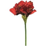 Amaryllis ArtificialNature, rot, 63 cm