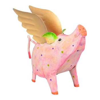 SparDose Schwein Kanu, Metall, 24x10x18 cm