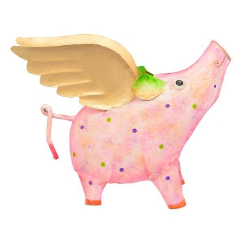 SparDose Schwein Kanu, Metall, 24x10x18 cm