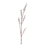 CornusZweig ArtificialNature, rot, 130 cm