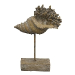 Muschel Valo, Polyresin, 18,5x8x25 cm