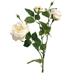 italian rose spra ArtificialNature, cream, 61 cm