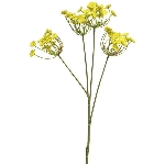 Anethum spray, gelb, 68 cm