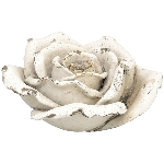 Blume Valo, Polyresin, 17,5x17,5x8 cm