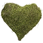 Herz Willow, grün, Moos, 40x10x40 cm