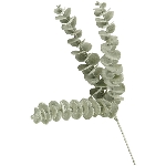 Eukalyptus ArtificialNature, grün, 60 cm