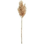 Reed Stem ArtificialNature, beige, 62 cm