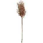 Reed Stem ArtificialNature, braun, 62 cm