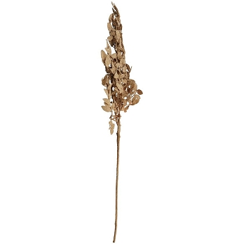 BlattZweig ArtificialNature, beige, 99 cm