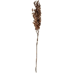 BlattZweig ArtificialNature, braun, 99 cm