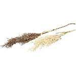 SchilfStiel ArtificialNature, beige, 130 cm