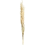 Reed Stem ArtificialNature, 130 cm