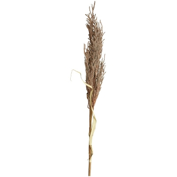 Reed Stem ArtificialNature, braun, 130 cm