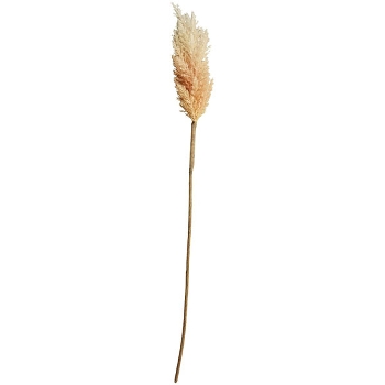 SchilfStiel ArtificialNature, orange, 66 cm