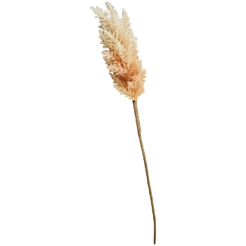 SchilfStiel ArtificialNature, orange, 66 cm