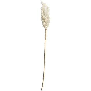 SchilfStiel ArtificialNature, weiß, 66 cm
