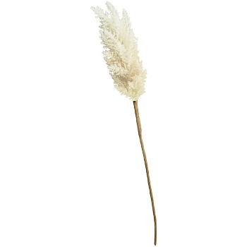 SchilfStiel ArtificialNature, weiß, 66 cm