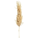Reed Stem ArtificialNature, beige, 124 cm