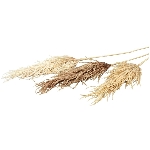 SchilfStiel ArtificialNature, braun, 124 cm