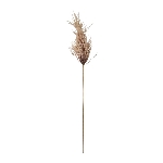 Reed Stem ArtificialNature, 124 cm