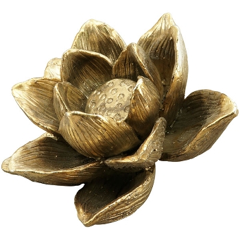 Lilie Aurum, gold, Polyresin, 13,5x13,5x9 cm