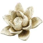 Blume Valo, creme, Polyresin, 13,5x13,5x9 cm