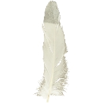 FederSet/6 FedeR, Feder, 1,8x0,1x21 cm