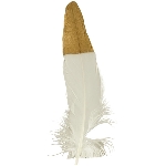 FederSet/6 FedeR, Feder, 1,8x0,1x21 cm