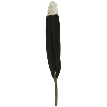 FederSet/6 FedeR, Feder, 1,8x0,1x21 cm