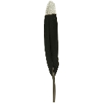 FederSet/6 FedeR, Feder, 1,8x0,1x21 cm