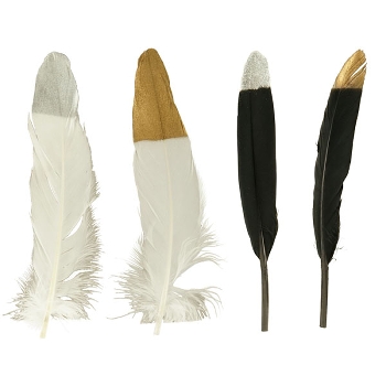 FederSet/6 FedeR, Feder, 1,8x0,1x21 cm