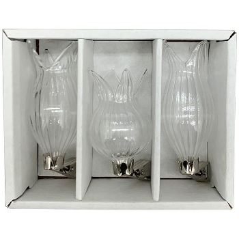 BlumeVase mit Klammer Set/3 Vitreous, klar, Glas, 14x11x5 cm