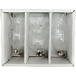 BlumeVase mit Klammer Set/3 Vitreous, klar, Glas, 14x11x5 cm