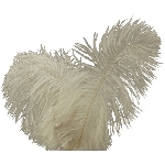 Feder ArtificialNature, weiß, Feder, 24 pcs., 15-20 cm
