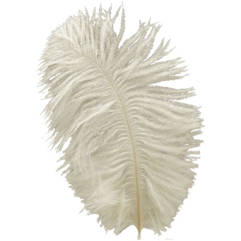 Feder ArtificialNature, weiß, Feder, 24 pcs., 15-20 cm