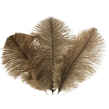 Feder ArtificialNature, braun, Feder, 24 pcs. 15-20 cm