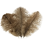 Feder ArtificialNature, braun, Feder, 24 pcs. 15-20 cm
