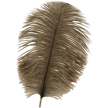 Feder ArtificialNature, braun, Feder, 24 pcs. 15-20 cm