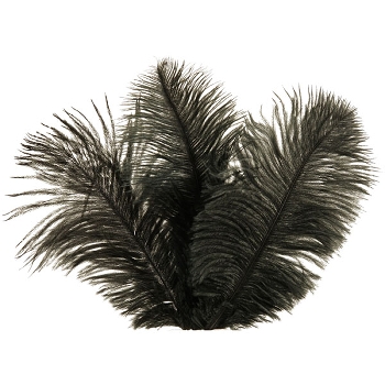 Feder ArtificialNature, schwarz, Feder, 24 pcs., 15-20 cm