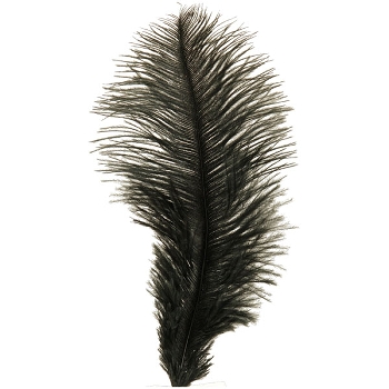Feder ArtificialNature, schwarz, Feder, 24 pcs., 15-20 cm